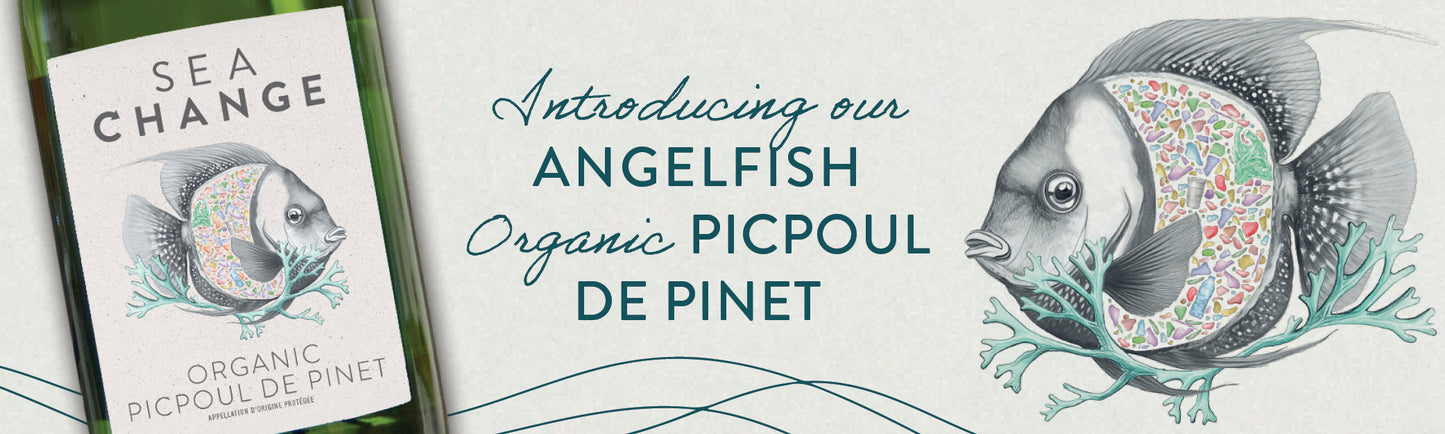 Introducing Sea Change Organic Picpoul de Pinet:: A Wine of the Present and Future
