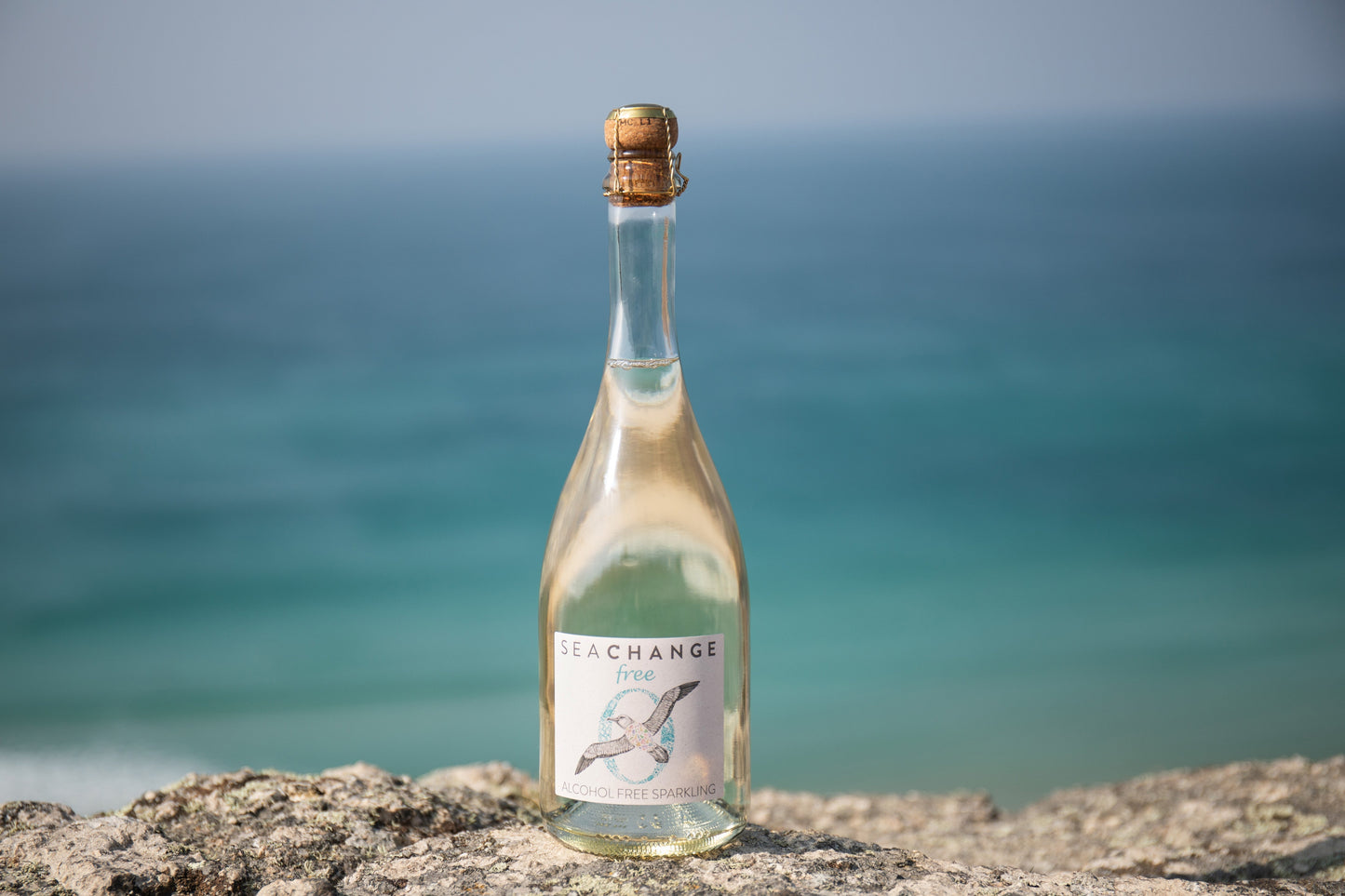 SEA CHANGE GOES SOBER!