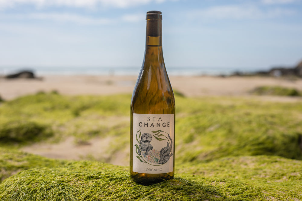 WE JUST LAUNCHED OUR ORGANIC RANGE - BUT WHY DRINK ORGANIC WINE?
