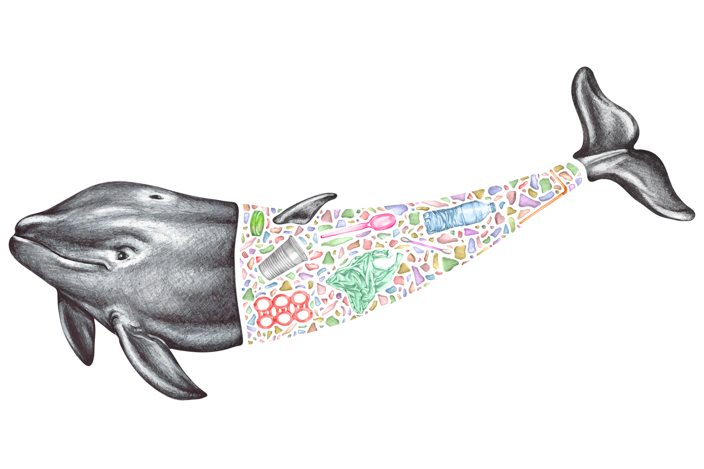 Whale