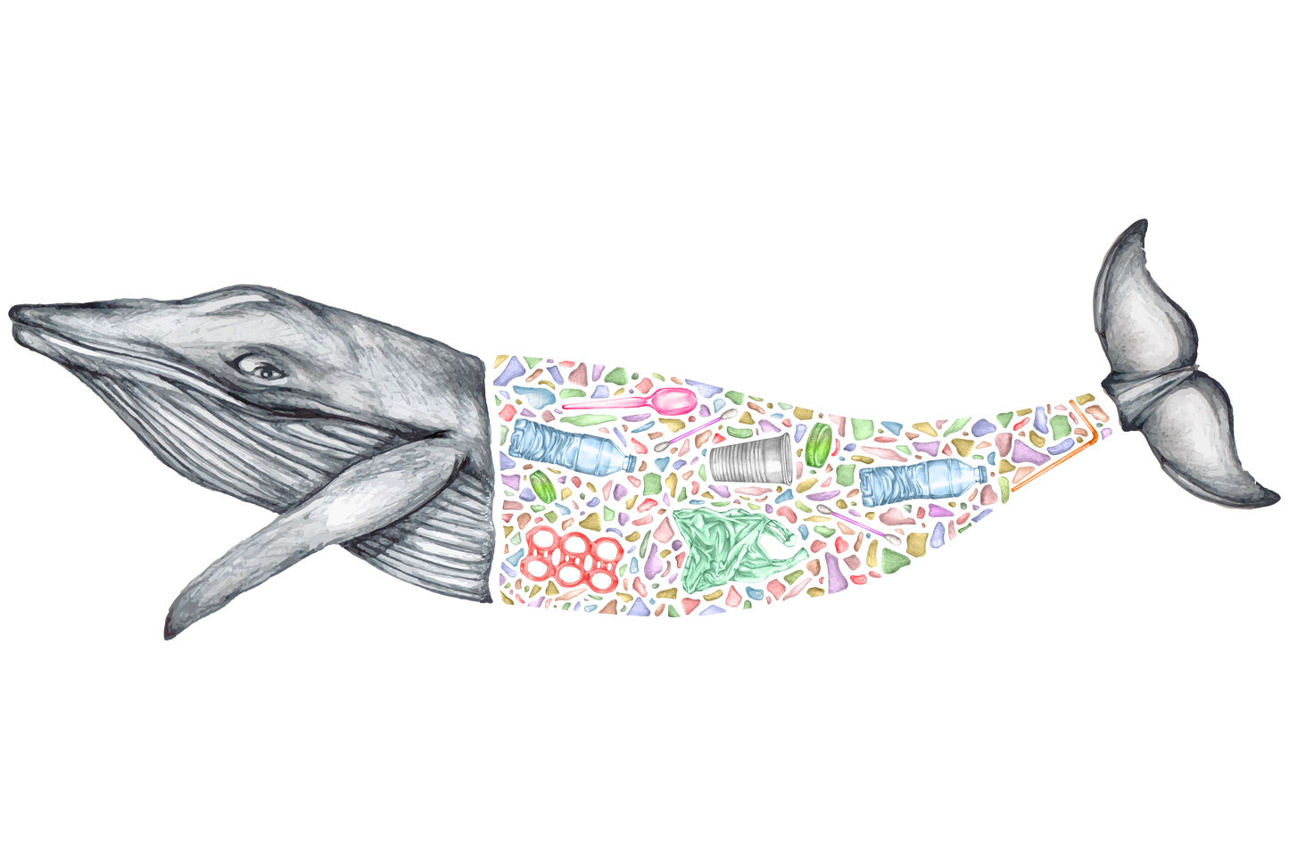 Whale
