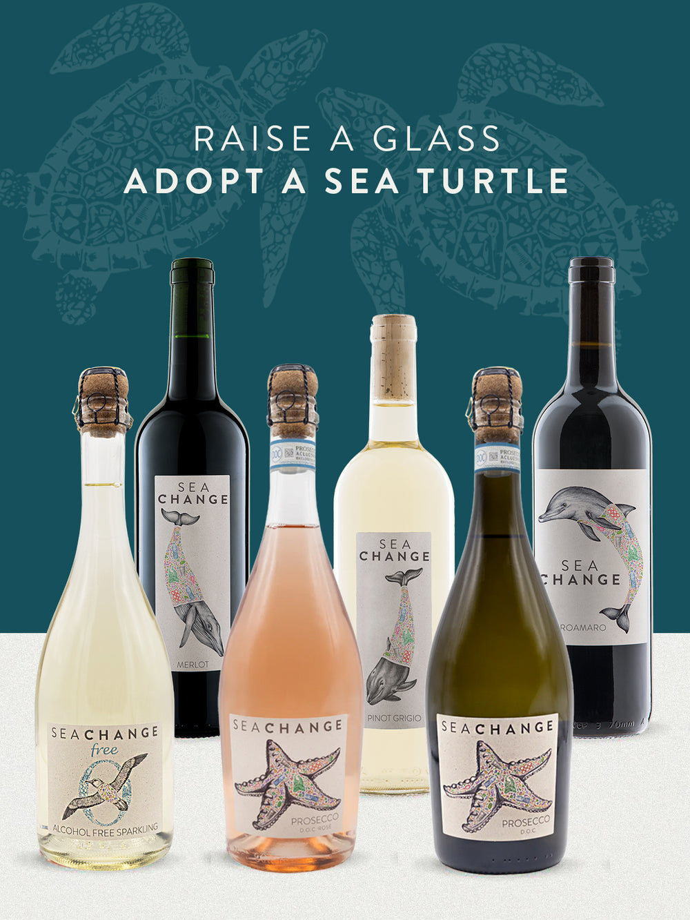 Adopt a Sea Turtle Case
