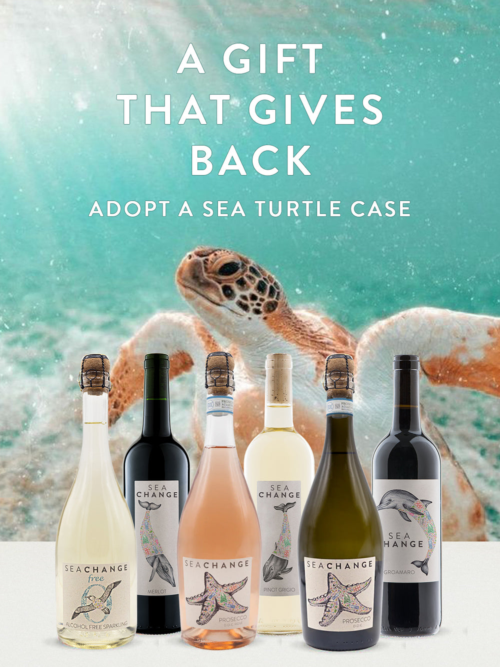 Adopt a Sea Turtle Case