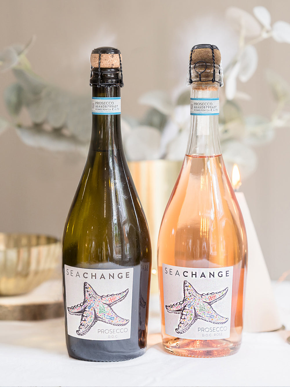 Sea Change Celebration Pack