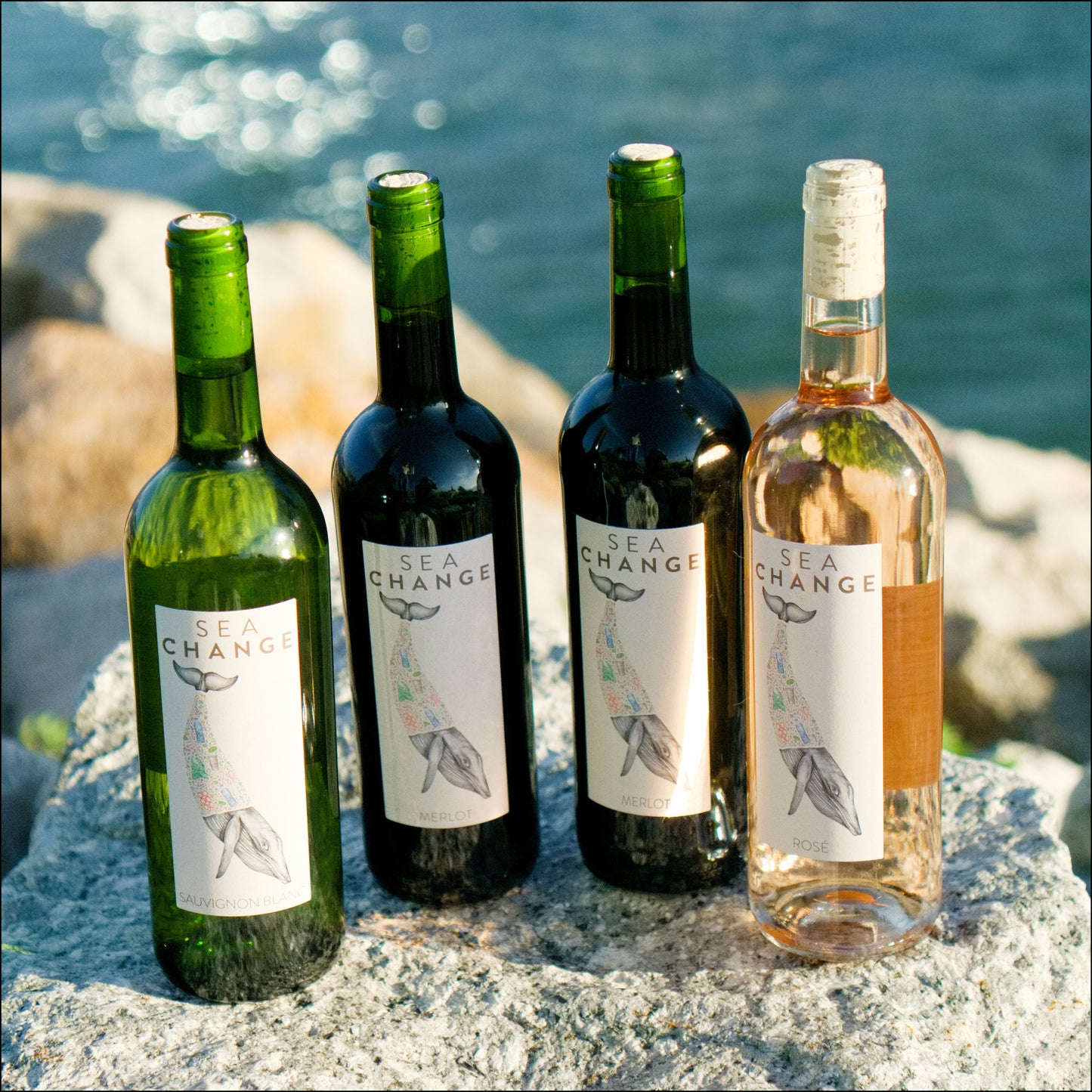 Square Whales.jpg__PID:b28e19c1-8ccb-4082-aff7-d452c35a0dba